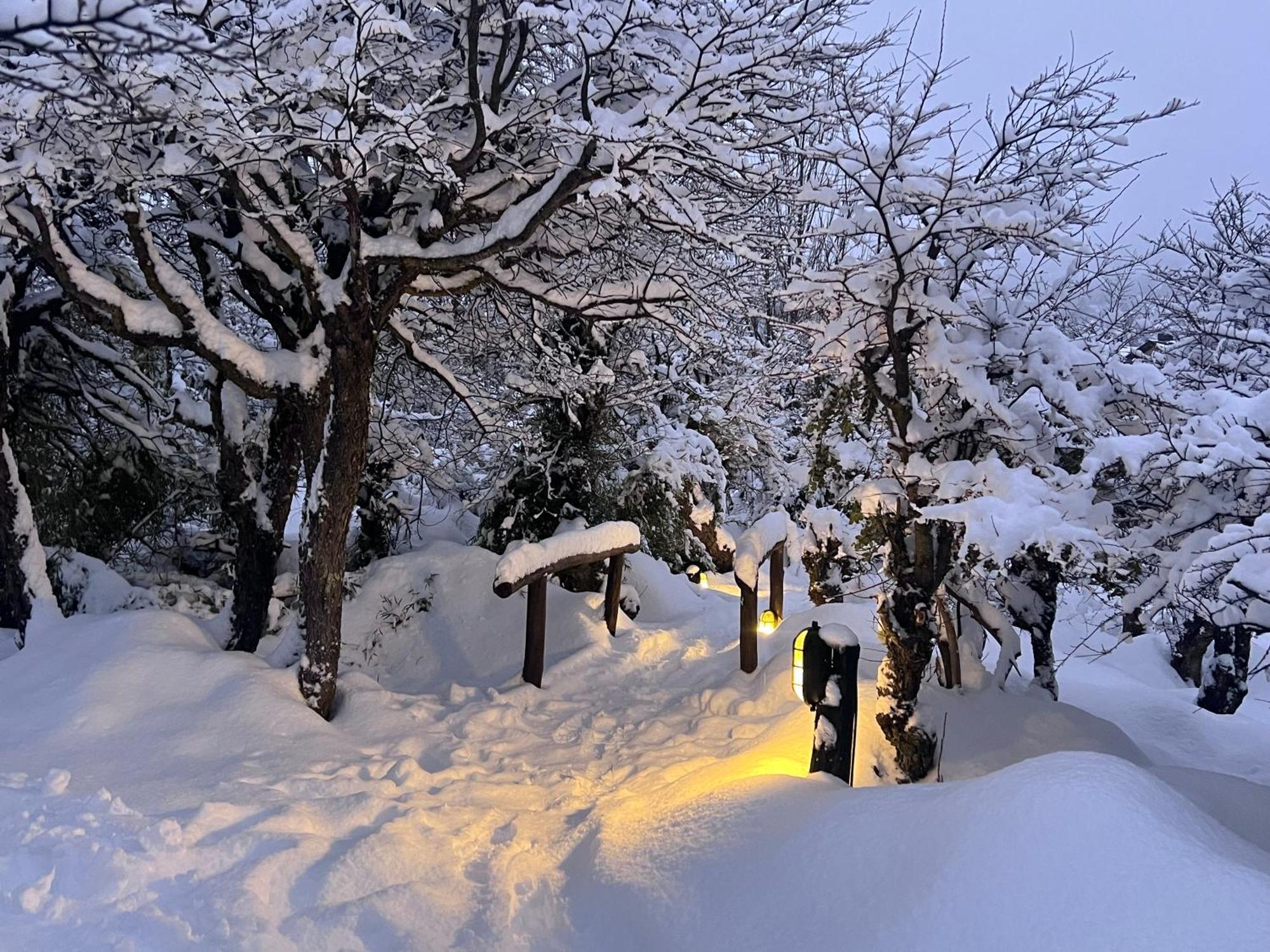 Los Nires Lodge Cerro Catedral San Carlos de Bariloche Esterno foto
